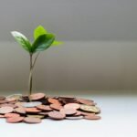 Earn Money Online Without Investment 2026: The Comprehensive Risk-Free Guide